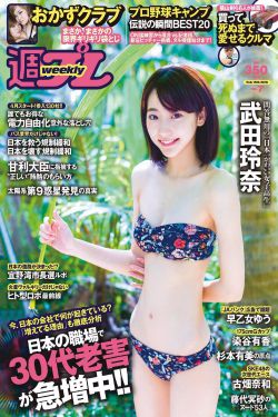 屋顶的大象